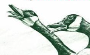 Philosophy and Conservation?
