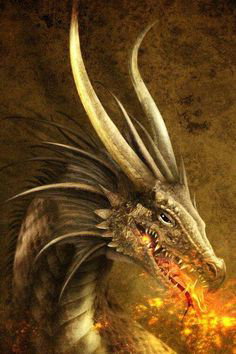 Biography image
