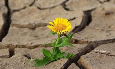 Sind Sie auch schon unfreiwillig Mitglied im 1-Prozent-Club?