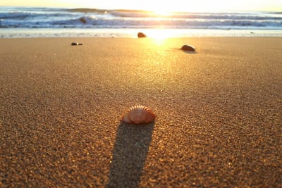 Mantra für einen guten Start in den Morgen