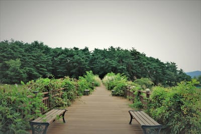 12 Wege, wie Sie mit der Angst Covid zu bekommen besser umgehen?