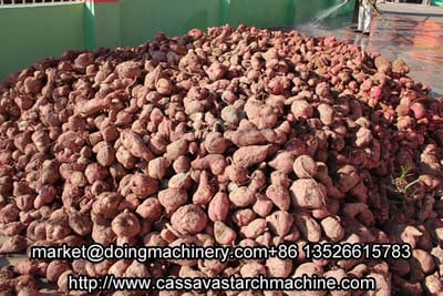 DOING sweet potato starch machine sales to Xinxiang, China