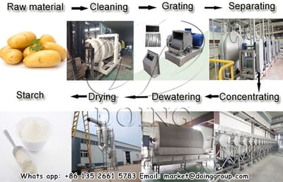 Potato starch manufacturing process in potato processing factories