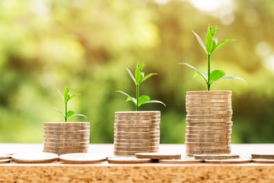 Association Dues