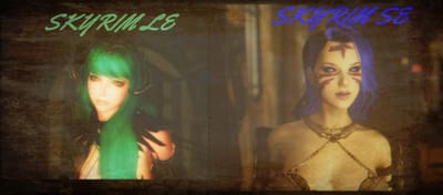 SkyrimLE&SE Blog Mods