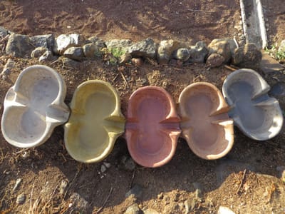 About / Acerca de image