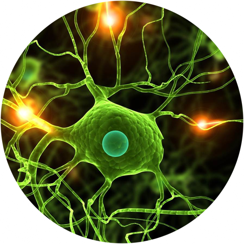Science General Knowledge 2019