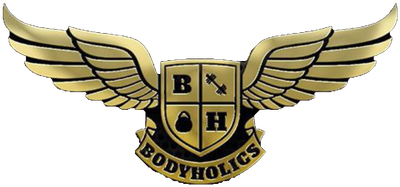 Bodyholics The GYM