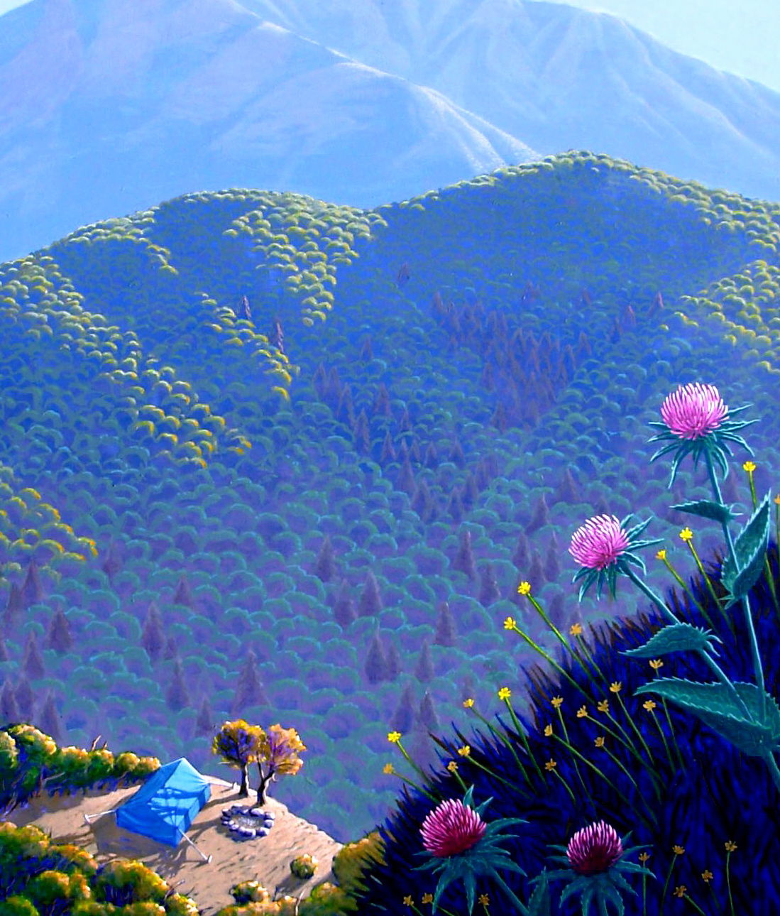 Nacimiento