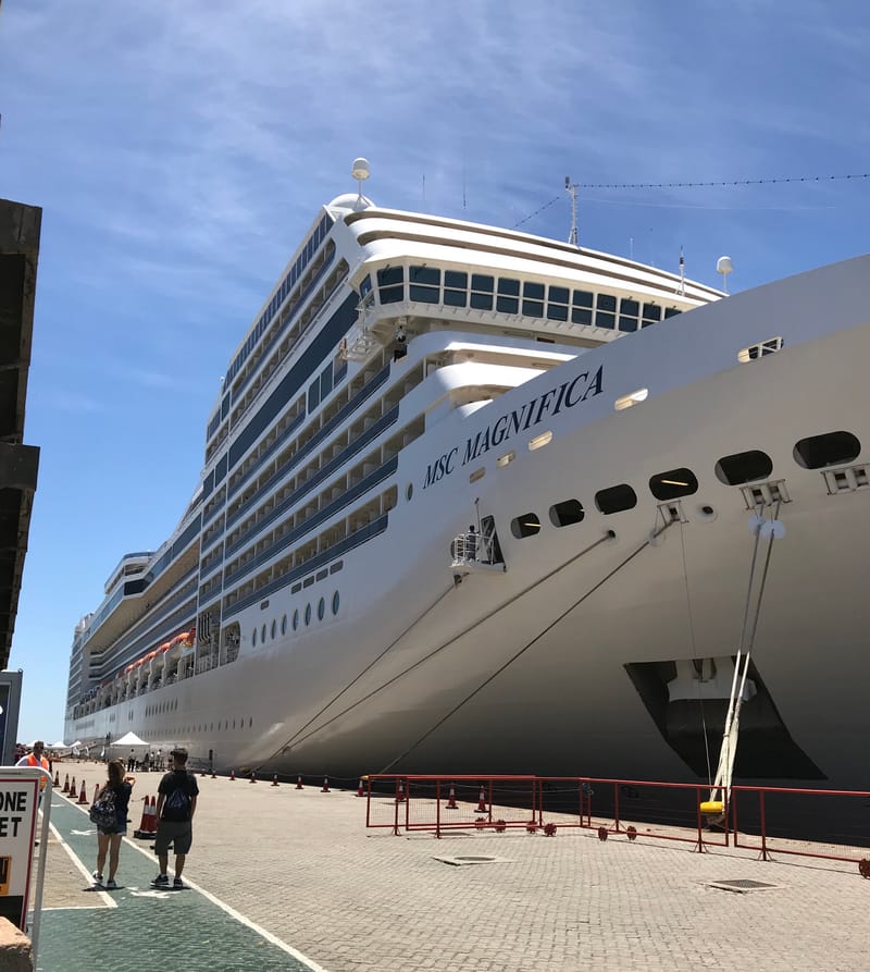 Viagem  - Cruzeiro MSC Punta Del Leste - Montevideo - Buenos Aires