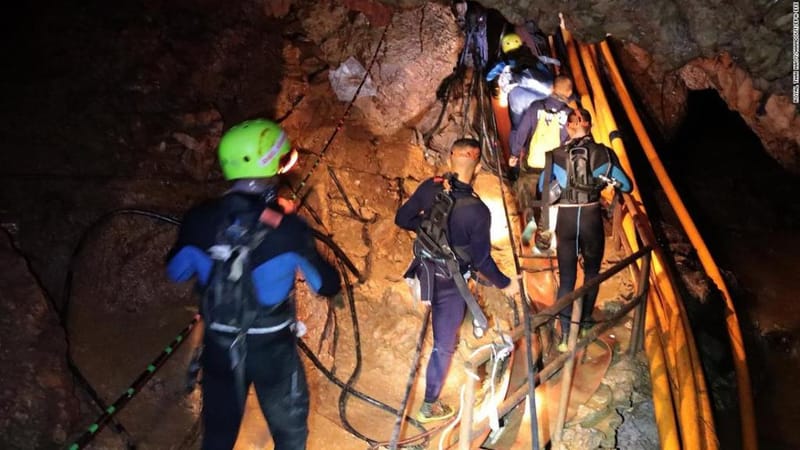 RESCATANDO A ´LOS JABALÍES SALVAJES´