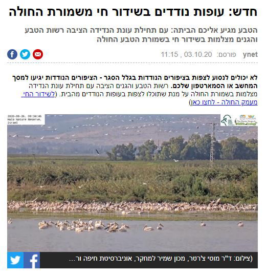 עופות נודדים בשידור חי משמורת החולה ynet