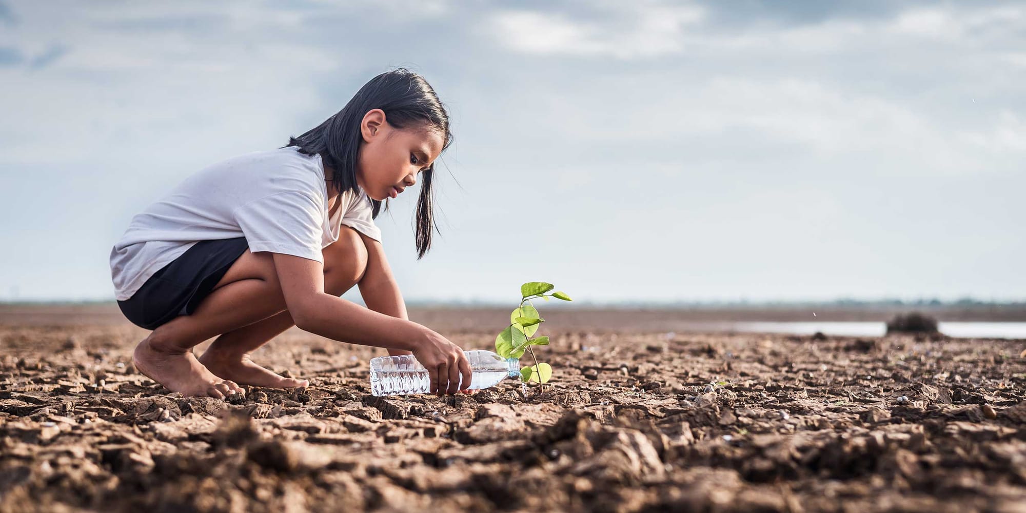 New Strategies for Climate and Security