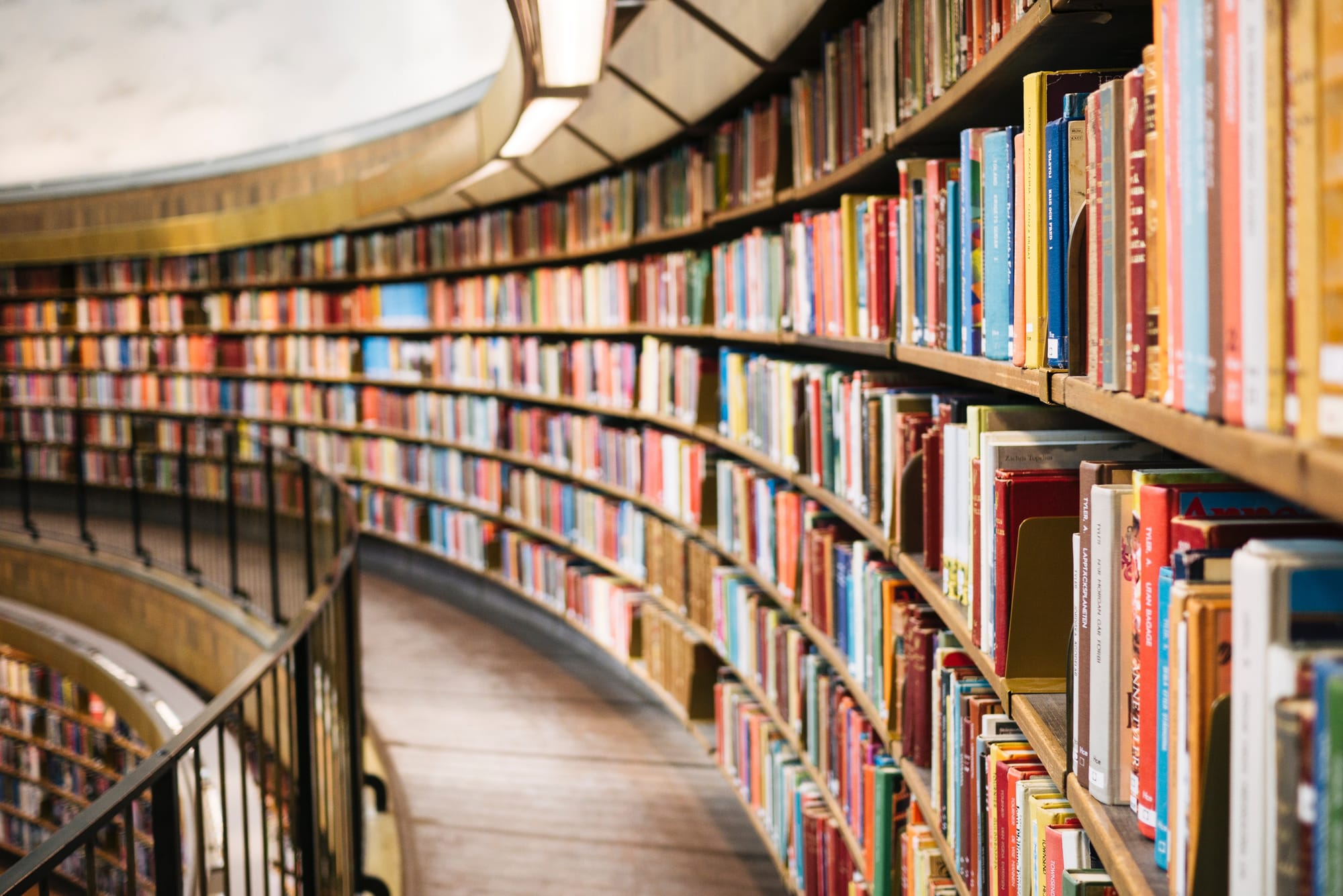 Bibliografia e fontes de consulta
