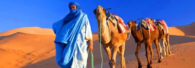 Masa Car Location voiture Dakhla image