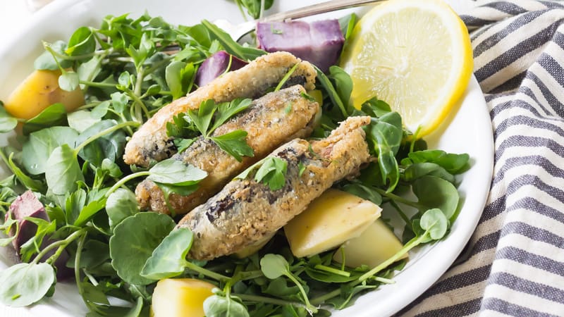 Mediterranean Fish