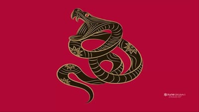 Tu Xem Huong Nha Hop Tuoi 1989 Khong Can Thay