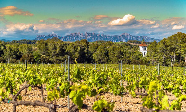 Španělsko - Penedès