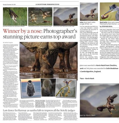 Mull Sea Eagle Photo Overall 2nd Place