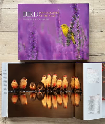 BPOTY Collection 7 Photo Entry