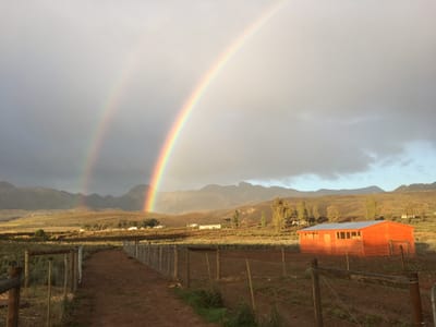 WHAT WE ARE ABOUT image