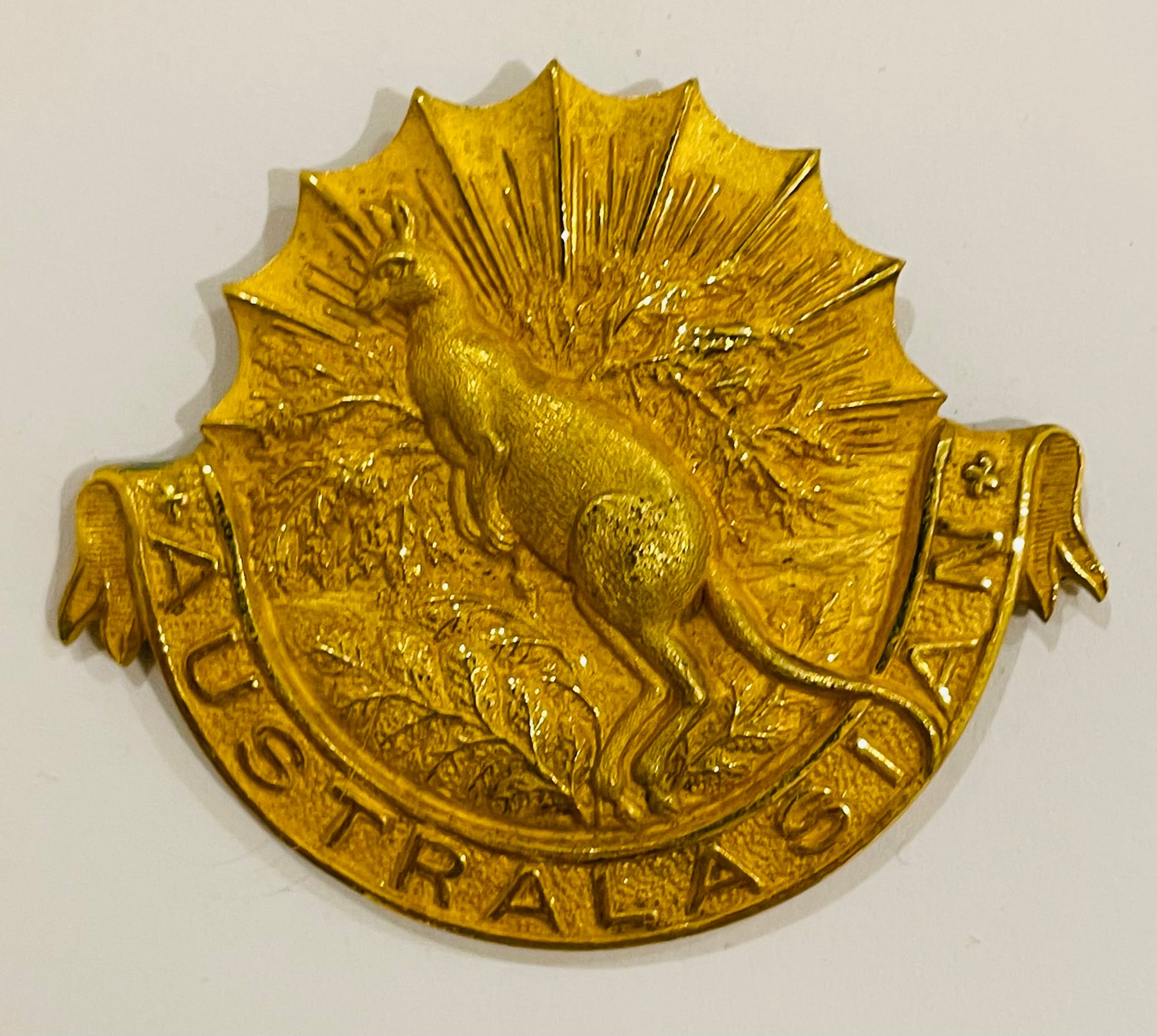 'C' Australasian Squadron - worn without matching collar badges