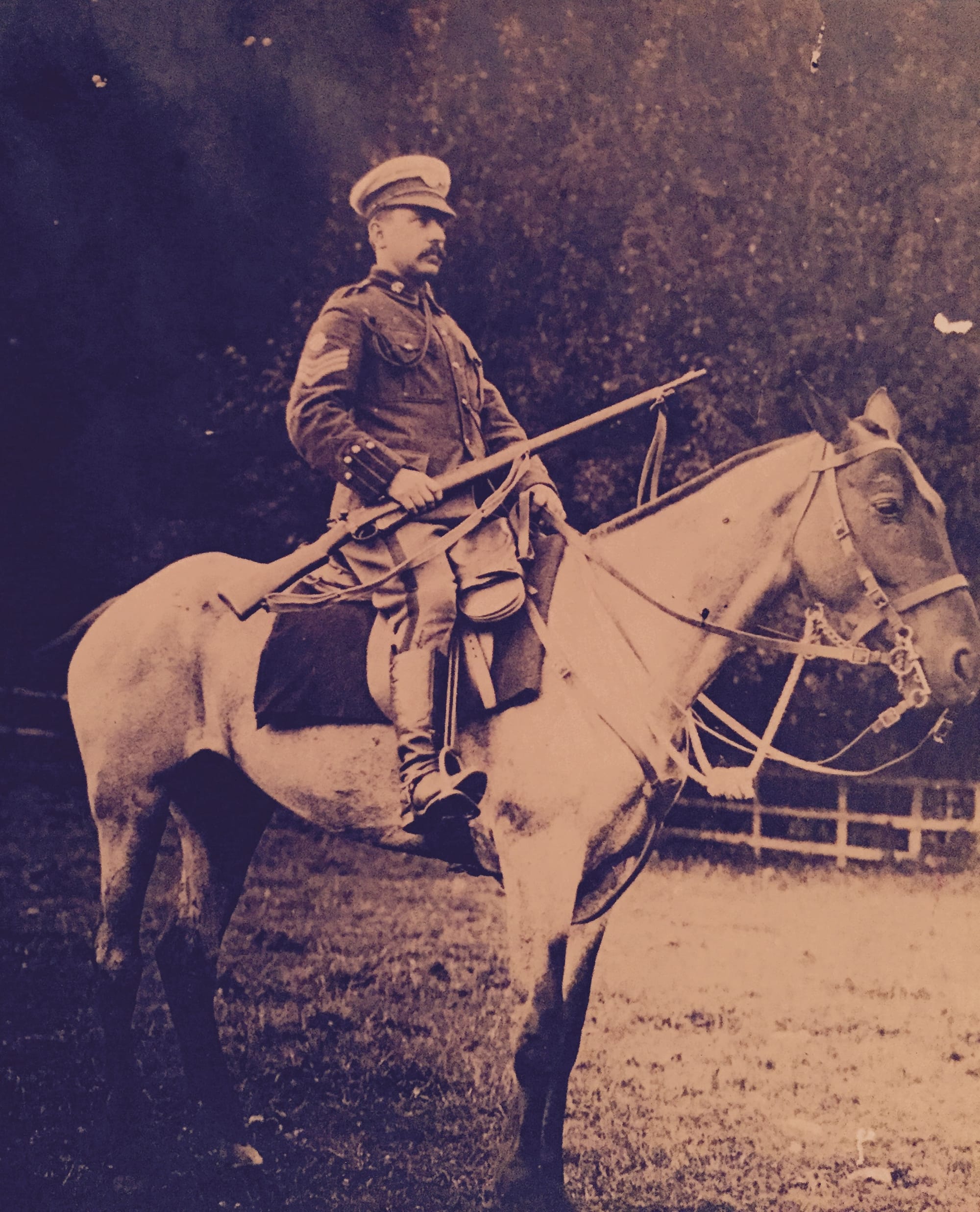 Photograph of Sergeant Herbert MacIntosh of the 3rd (New Zealand) Troop of ‘D’ Squadron (British African) of the King’s Colonials Imperial Yeomanry on horseback circa 1904.  He is wearing Undress uniform with the Second Pattern forage cap in khaki with a white cap cover and has a ‘C’ Squadron (Australasian) arm badge above his gold rank chevrons and is wearing first pattern Regimental collar badges. He is equipped with the standard cavalry and yeomanry .303 Short Magazine Lee Enfield (SMLE) Mark 1 rifle. His actual tunic complete with New Zealand collar badges, overalls and gaiters is shown on a following page.