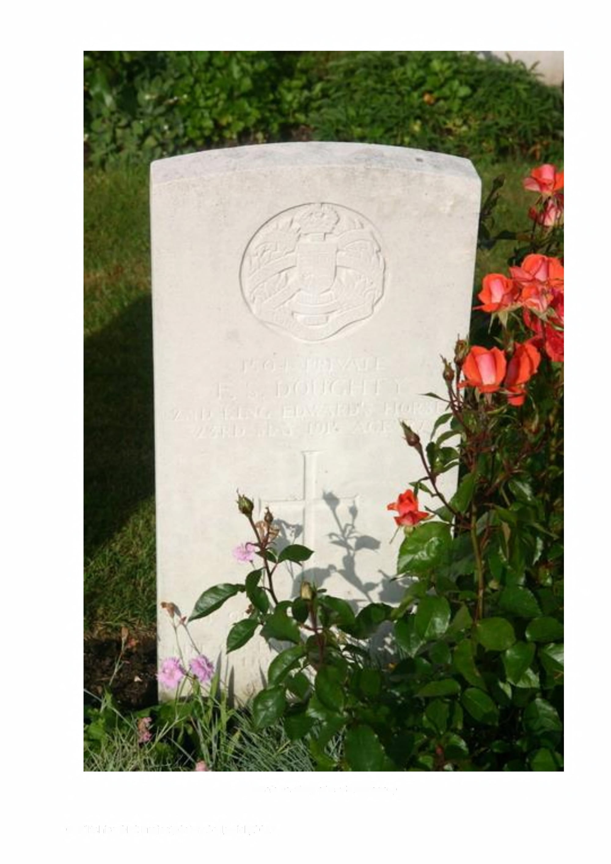 DOUGHTY, Frederick Stanley. Private. 1504. KIA.