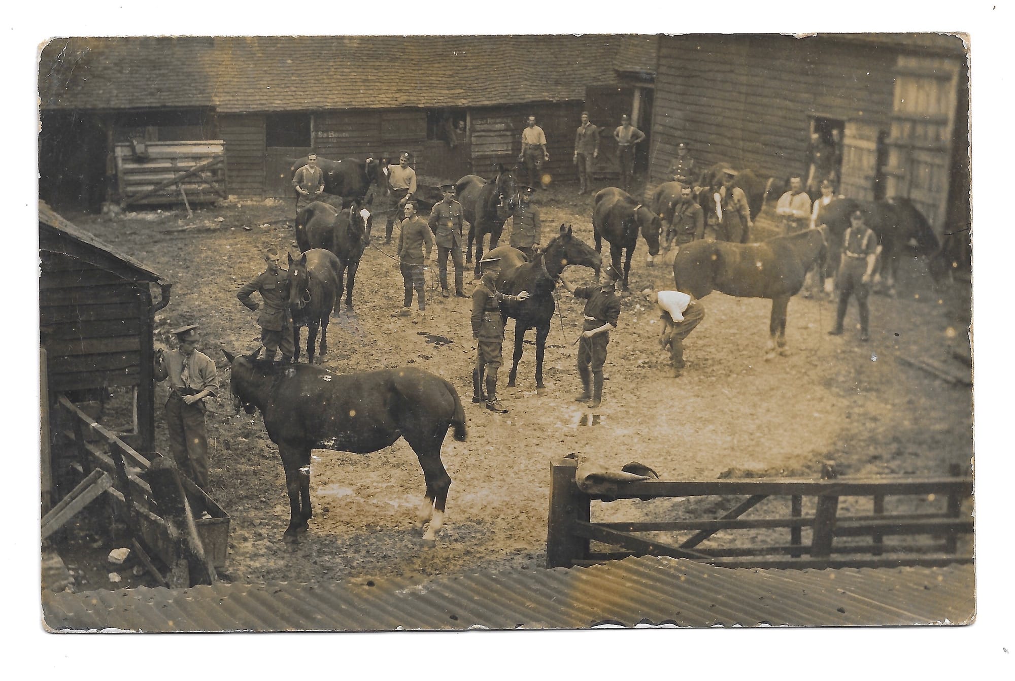 ROMANES, Francis John. Captain KEH. 3rd Troop, B Squadron. He is the figure in the centre of the postcard he sent to a friend from the Scout Movement in the US from Watford on 15 Jan 1915.