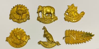 Squadron Headdress and Collar Badges image