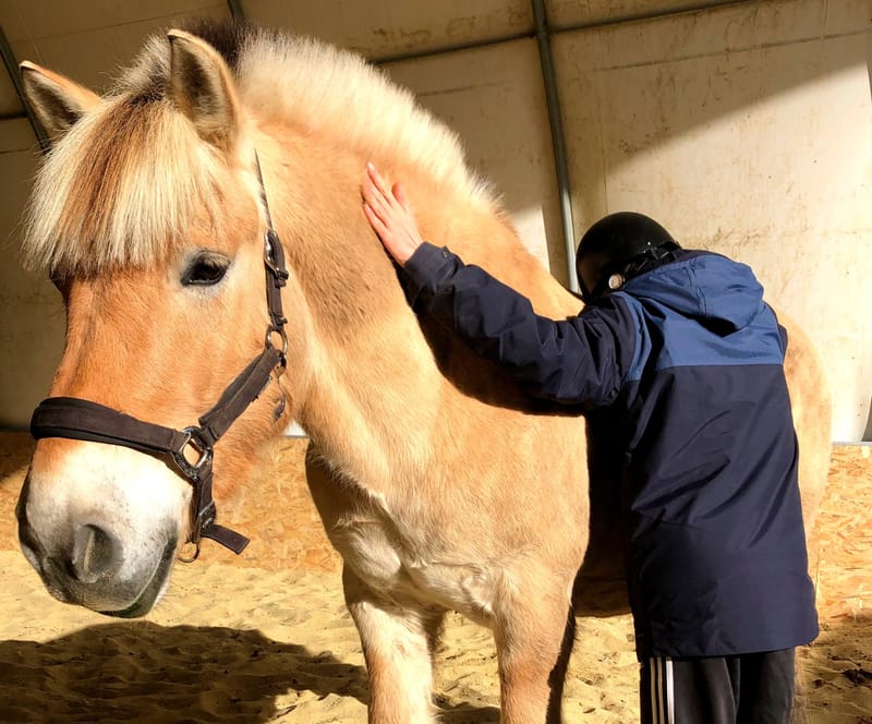 Equithérapie & Equitation adaptée