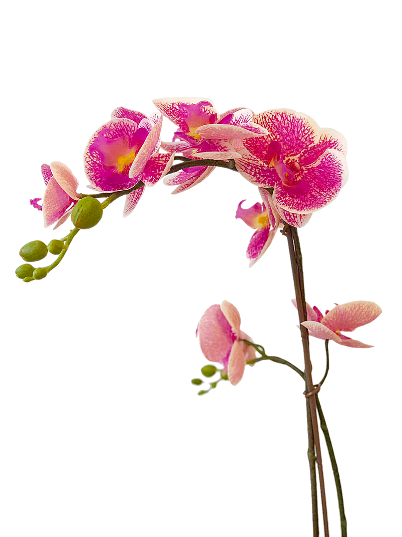 L’hypnose humaniste, une technique rassurante