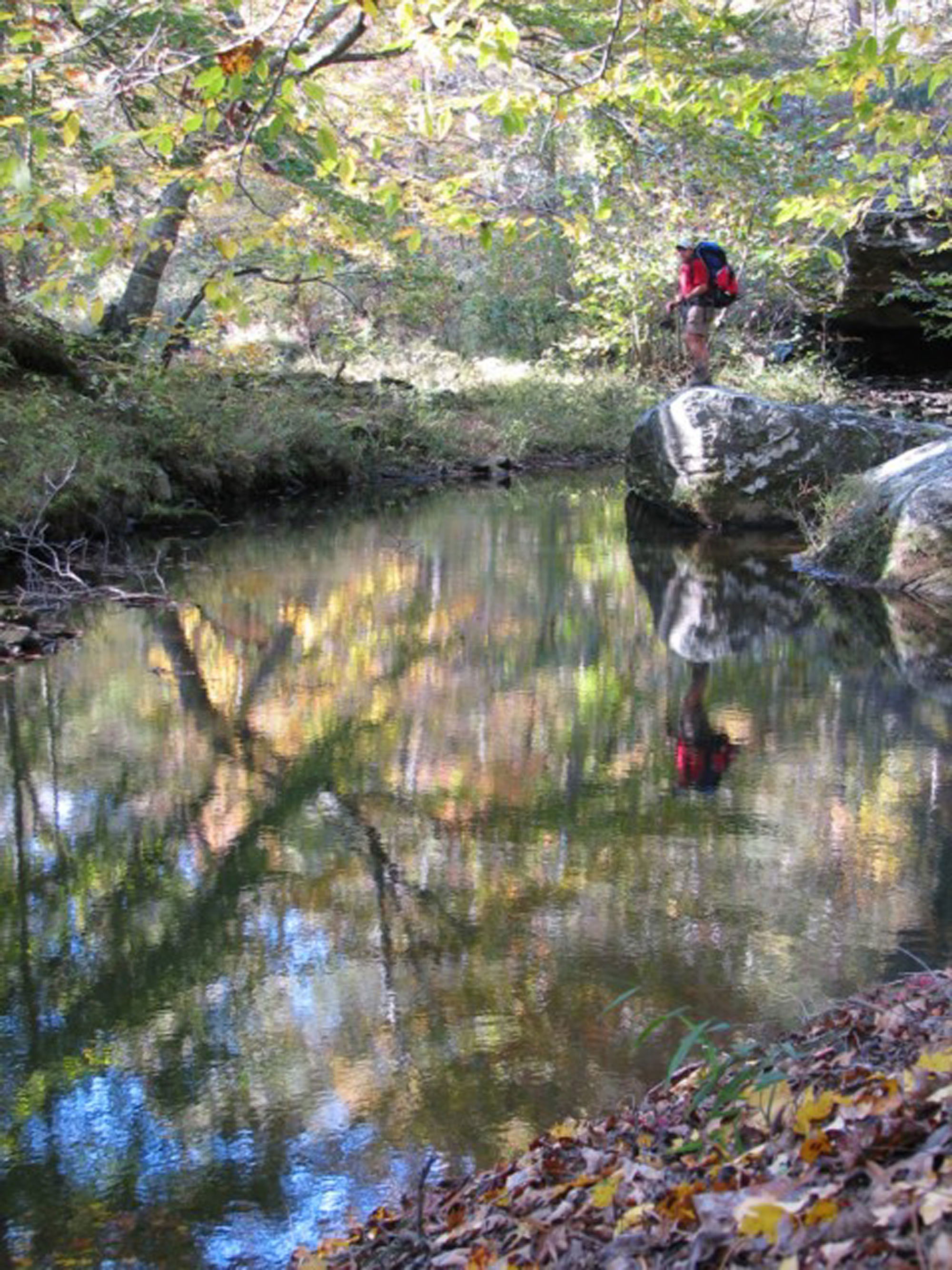 Gum Springs Area