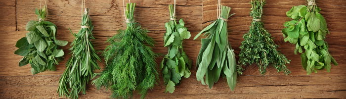 طرق تجفيف الأعشاب العطرية و الطبية