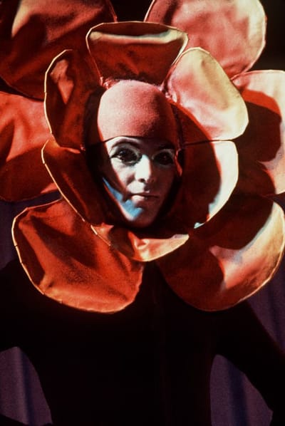 Shabi on the Rocks 22