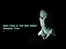 Shabi on the Rocks 51