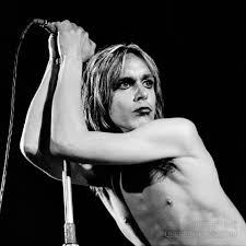 Shabi on the Rocks 82