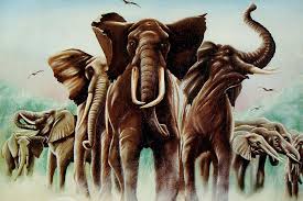 Shabi on the Rocks 98 - ספיישל 1979