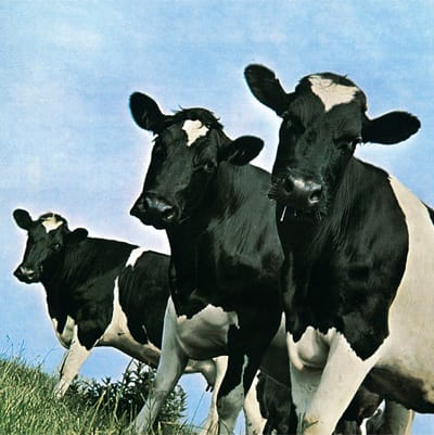 מיוזיק ג'אנקי 64