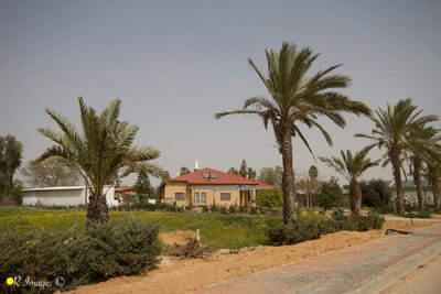 Shabi on the Rocks 279 - מהדורה דרומית ישראלית חלק ג