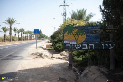 Shabi on the Rocks 283 - מהדורה דרומית מעורבת