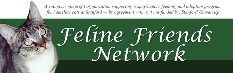 Feline Friends Network