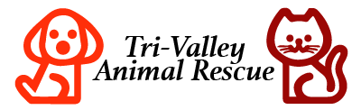 TVAR