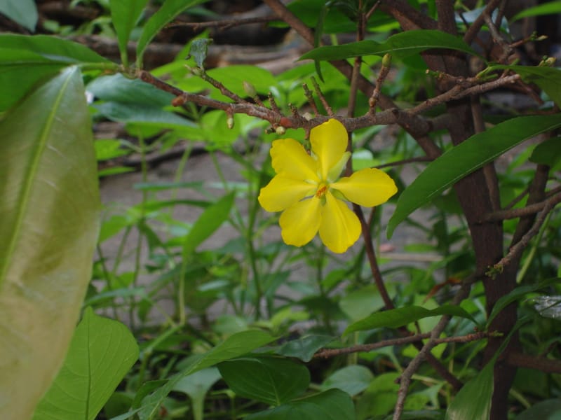 truyên ma ở bình dương