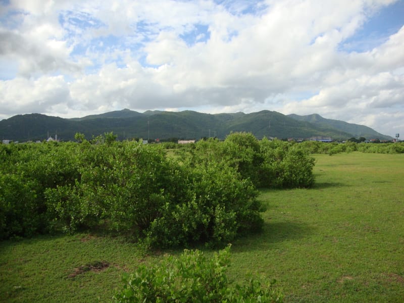 Danh mục thuốc tây trị bệnh