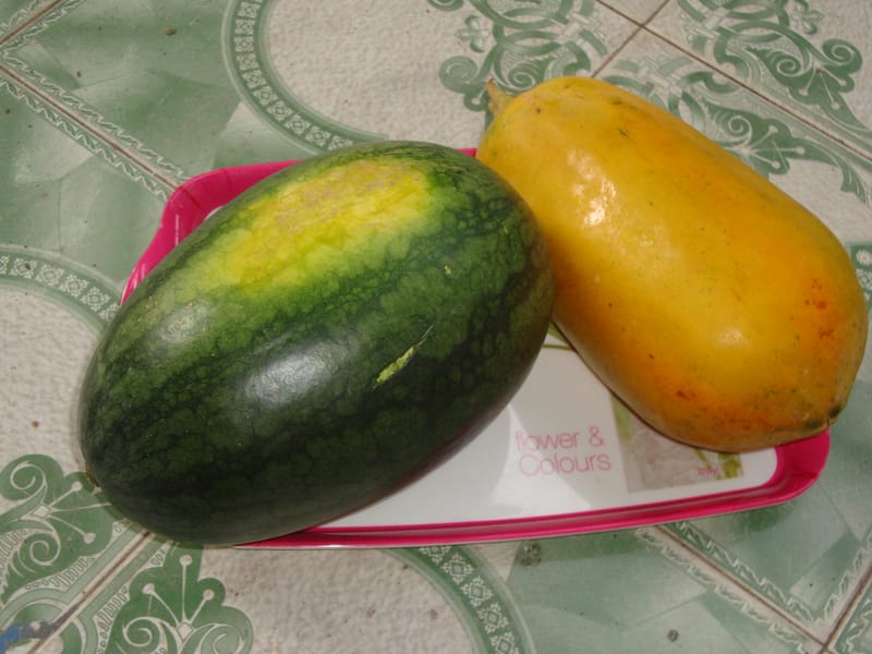 Cách làm hoa nở nhiều và nhiều quả vào tết 2019