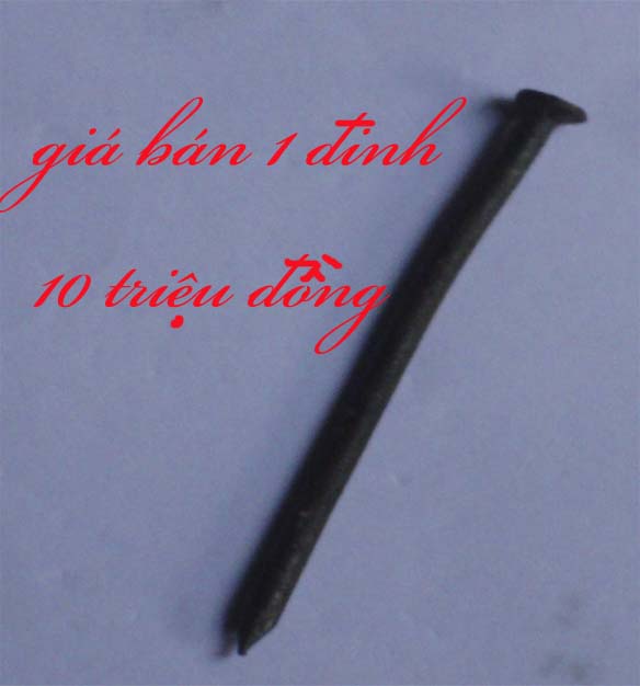 1 chiếc đinh giá  10'000'000 vnd tháng 4 năm 2019
