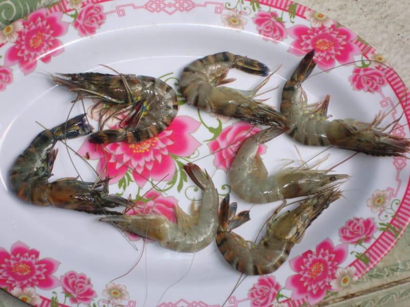 ăn tôm sú thật ngon???????ọe toàn phân người không à!