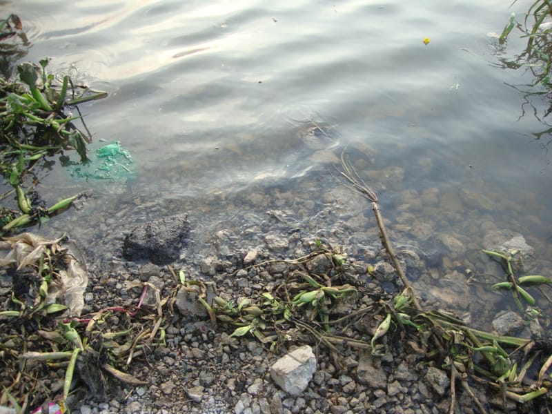 Thủy triều hoạt động?trăng to nước lớn-trăng nhỏ nước cạn-không trăng hết nước