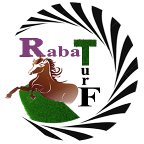 Rabaturf